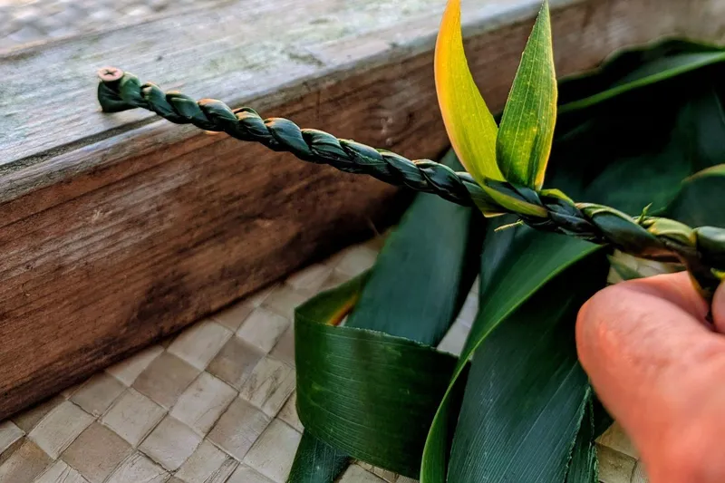 Braiding a ti leaf lei